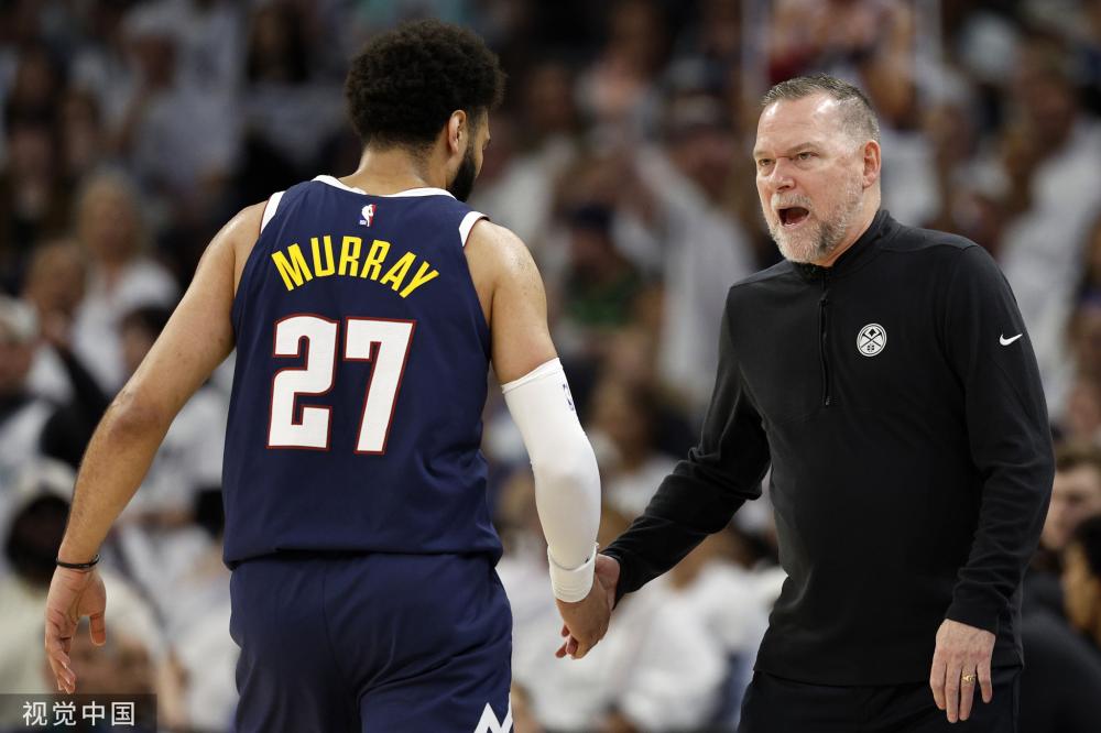 提供了新的 提供了新的